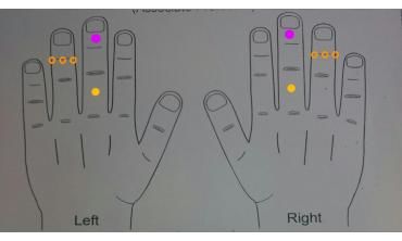 Acutherapy Healing Science